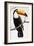 Toucan Perch-Staffan Widstrand-Framed Giclee Print