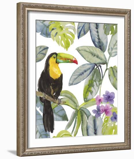 Toucan Seek-Sandra Jacobs-Framed Giclee Print