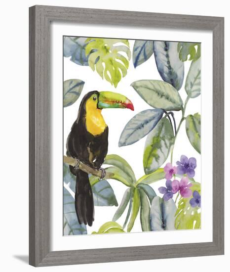 Toucan Seek-Sandra Jacobs-Framed Giclee Print