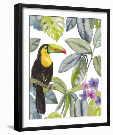 Toucan Seek-Sandra Jacobs-Framed Giclee Print