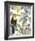 Toucan Seek-Sandra Jacobs-Framed Giclee Print