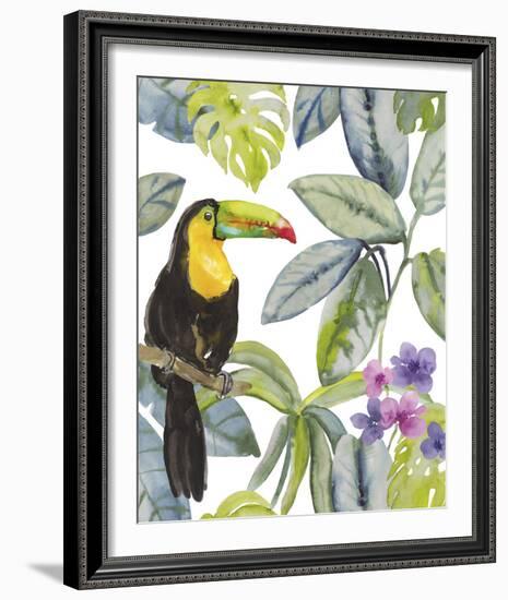 Toucan Seek-Sandra Jacobs-Framed Giclee Print