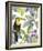 Toucan Seek-Sandra Jacobs-Framed Giclee Print