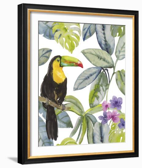 Toucan Seek-Sandra Jacobs-Framed Giclee Print