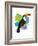 Toucan Tropics - Wild-Clara Wells-Framed Giclee Print