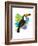 Toucan Tropics - Wild-Clara Wells-Framed Giclee Print