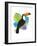 Toucan Tropics - Wild-Clara Wells-Framed Giclee Print