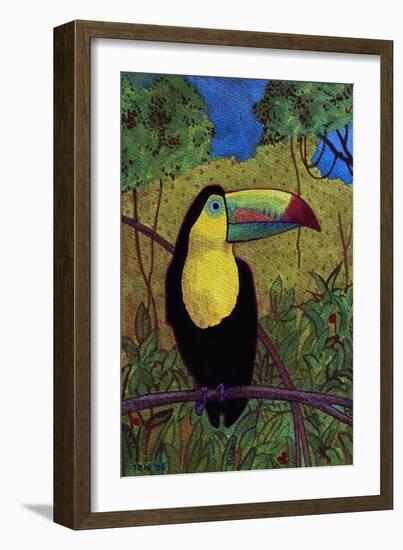 Toucan-John Newcomb-Framed Giclee Print