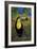 Toucan-John Newcomb-Framed Giclee Print