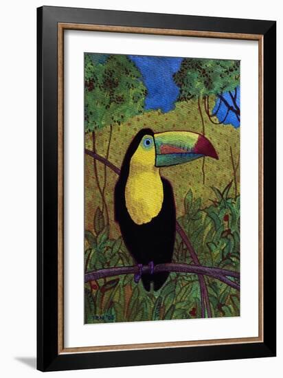 Toucan-John Newcomb-Framed Giclee Print