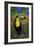 Toucan-John Newcomb-Framed Giclee Print