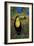 Toucan-John Newcomb-Framed Giclee Print