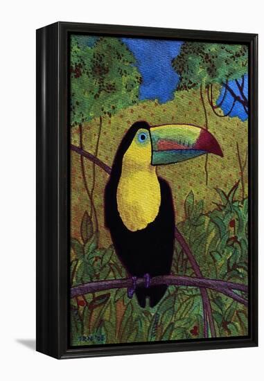 Toucan-John Newcomb-Framed Premier Image Canvas