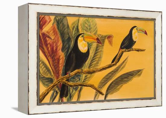 Toucans II-Linda Baliko-Framed Stretched Canvas