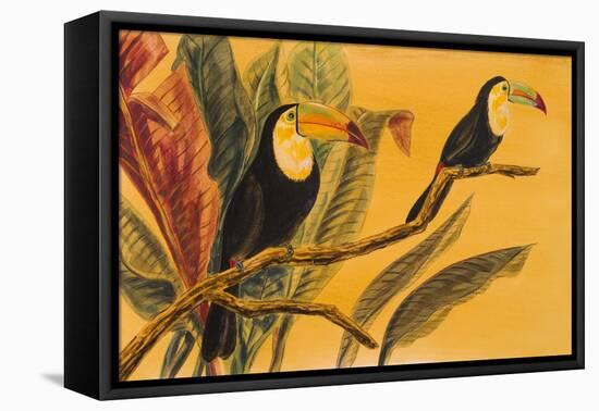 Toucans II-Linda Baliko-Framed Stretched Canvas