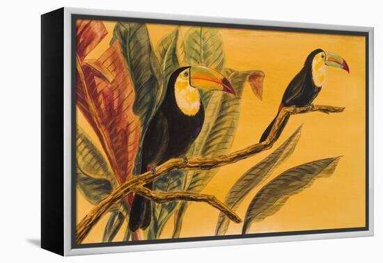Toucans II-Linda Baliko-Framed Stretched Canvas