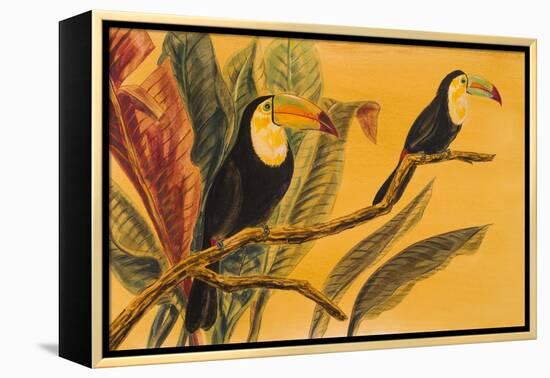 Toucans II-Linda Baliko-Framed Stretched Canvas