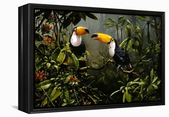 Toucans-Michael Jackson-Framed Premier Image Canvas