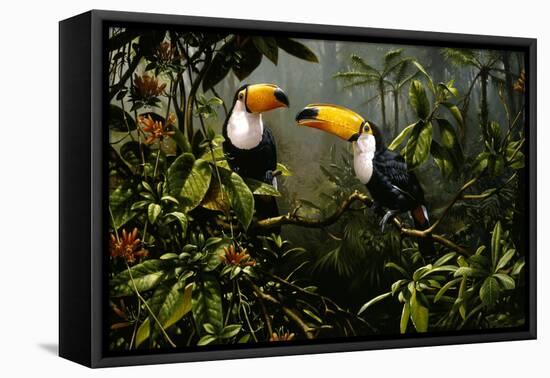 Toucans-Michael Jackson-Framed Premier Image Canvas