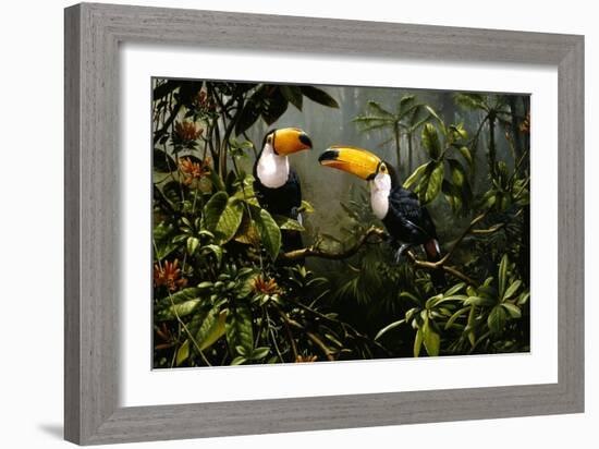 Toucans-Michael Jackson-Framed Giclee Print