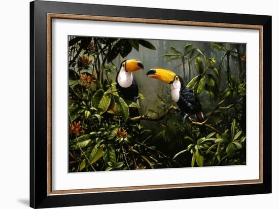 Toucans-Michael Jackson-Framed Giclee Print