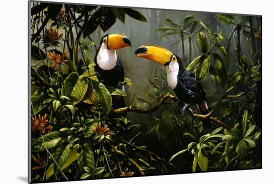 Toucans-Michael Jackson-Mounted Giclee Print