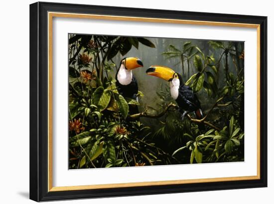 Toucans-Michael Jackson-Framed Giclee Print