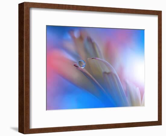 Touch Me Softly-Juliana Nan-Framed Photographic Print