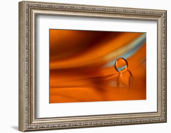 Touch of Blue-Heidi Westum-Framed Photographic Print
