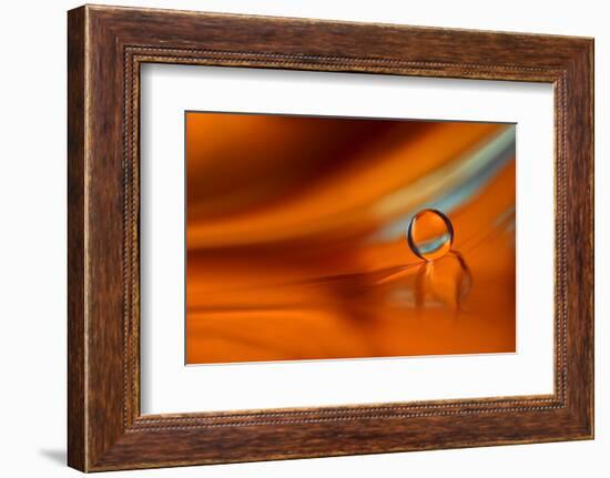 Touch of Blue-Heidi Westum-Framed Photographic Print