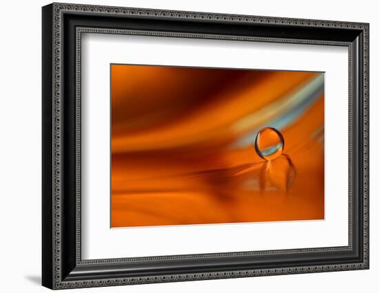 Touch of Blue-Heidi Westum-Framed Photographic Print