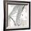 Touch of Gray III-Chris Paschke-Framed Art Print