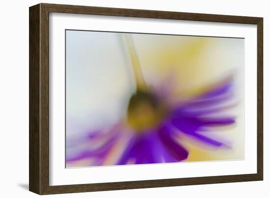 Touchdown-Heidi Westum-Framed Photographic Print