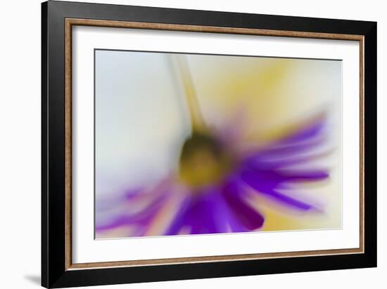 Touchdown-Heidi Westum-Framed Photographic Print