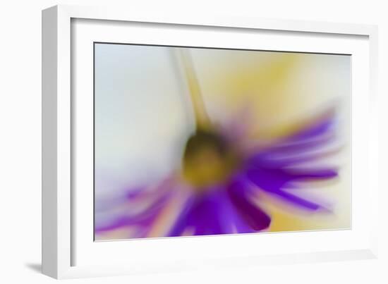 Touchdown-Heidi Westum-Framed Photographic Print