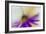 Touchdown-Heidi Westum-Framed Photographic Print