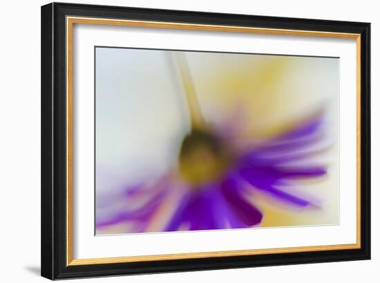 Touchdown-Heidi Westum-Framed Photographic Print