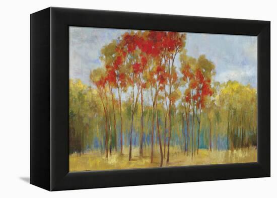 Touches of Red-Andrew Michaels-Framed Stretched Canvas