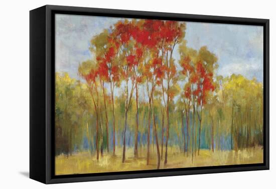 Touches of Red-Andrew Michaels-Framed Stretched Canvas