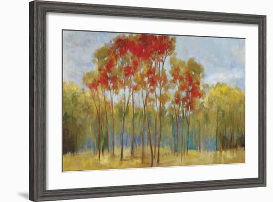 Touches of Red-Andrew Michaels-Framed Art Print