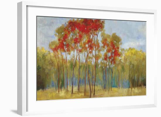 Touches of Red-Andrew Michaels-Framed Art Print