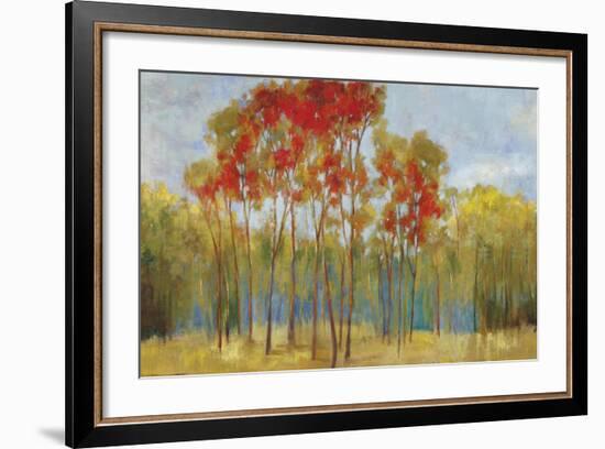 Touches of Red-Andrew Michaels-Framed Art Print