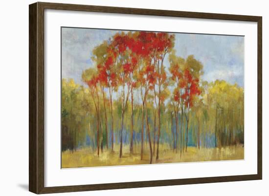 Touches of Red-Andrew Michaels-Framed Art Print