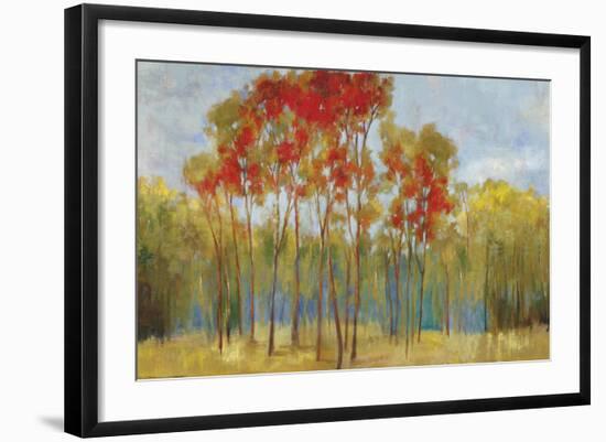 Touches of Red-Andrew Michaels-Framed Art Print