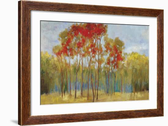 Touches of Red-Andrew Michaels-Framed Art Print