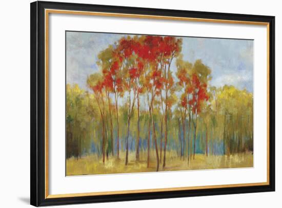 Touches of Red-Andrew Michaels-Framed Art Print