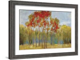 Touches of Red-Andrew Michaels-Framed Art Print