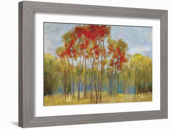 Touches of Red-Andrew Michaels-Framed Art Print