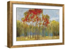 Touches of Red-Andrew Michaels-Framed Art Print