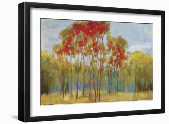 Touches of Red-Andrew Michaels-Framed Art Print